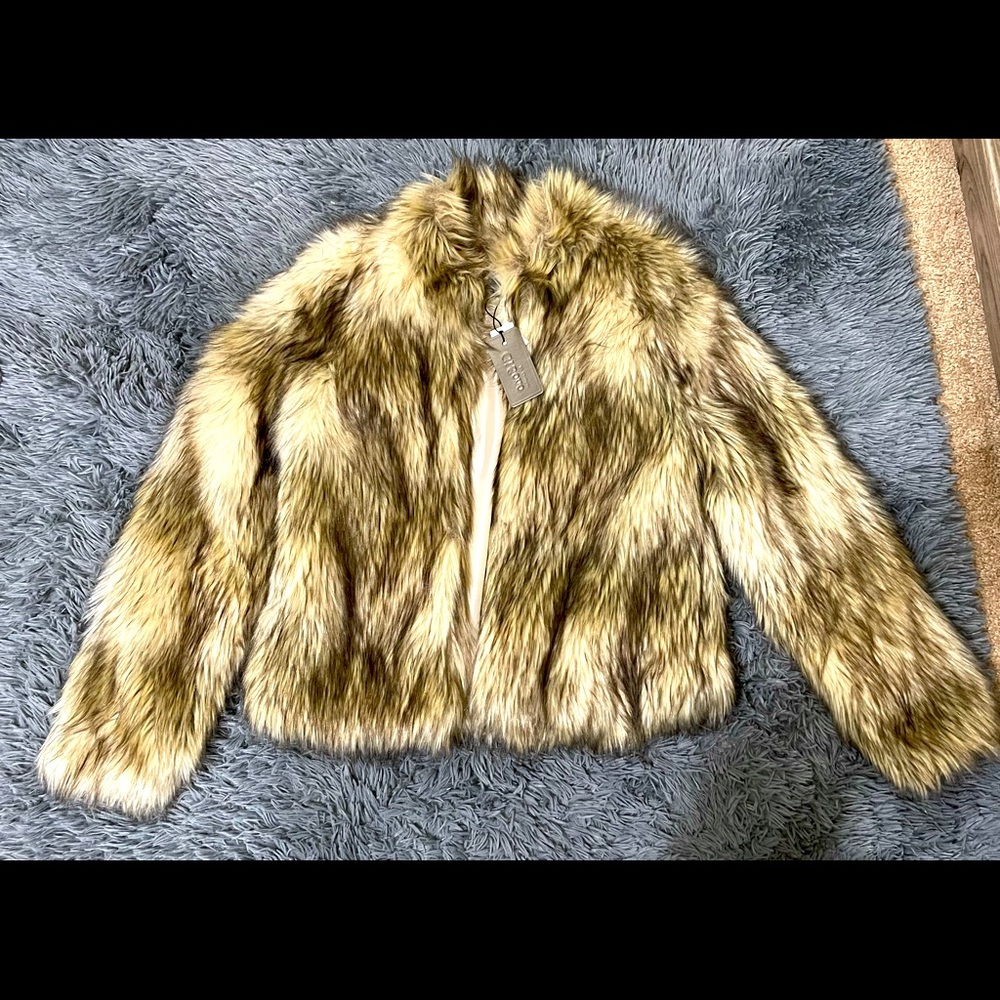 Coat